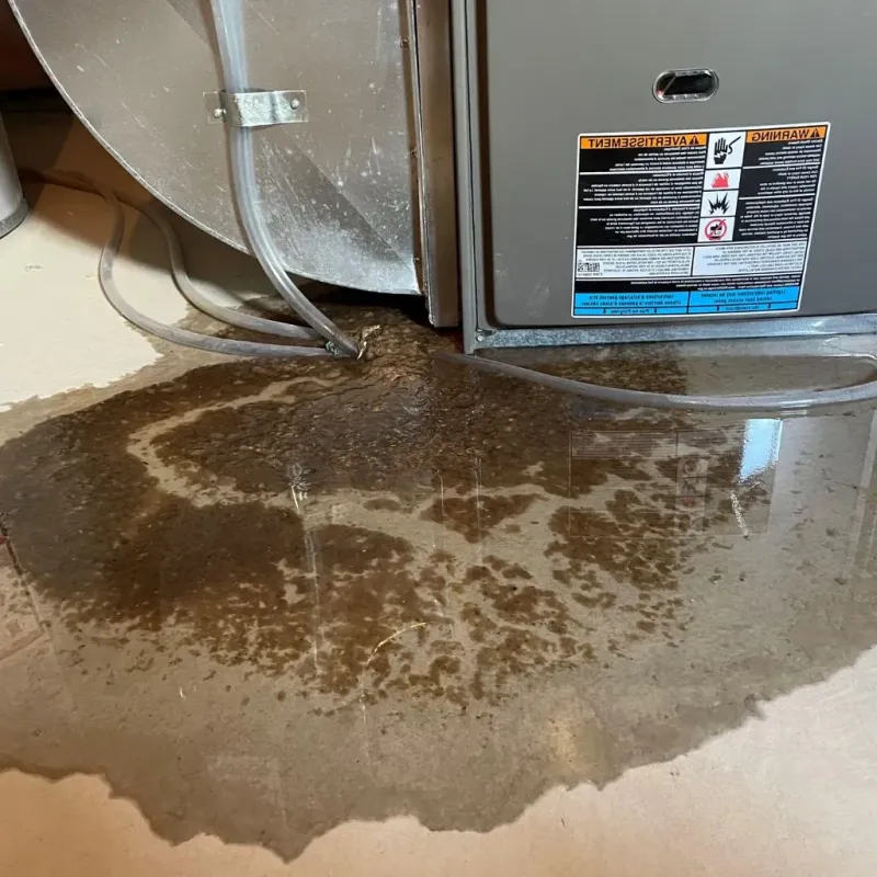 Pipe Burst and Leak Restoration in Coxsackie, NY
